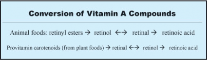 Vitamin A Conversion Chart
